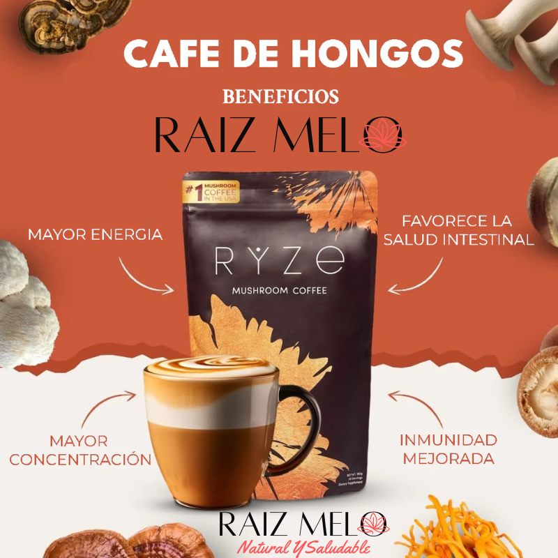 Un Nuevo Habito - Un Distinto Nuevo Día - Café con Hongos