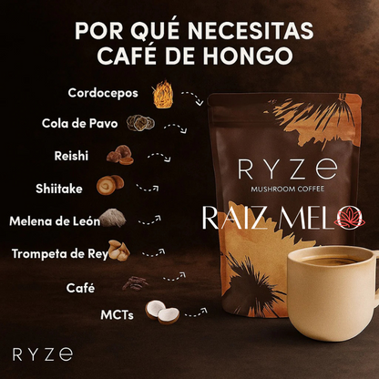 Un Nuevo Habito - Un Distinto Nuevo Día - Café con Hongos